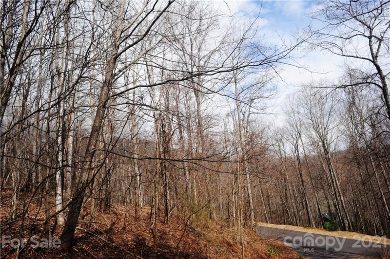 Property image 3 at 54 Great Aspen Way, Black Mountain, NC 28711