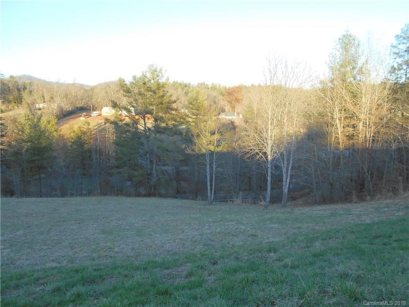 Property image 3 at 0000 Snook S Path, Mars Hill, NC 28754