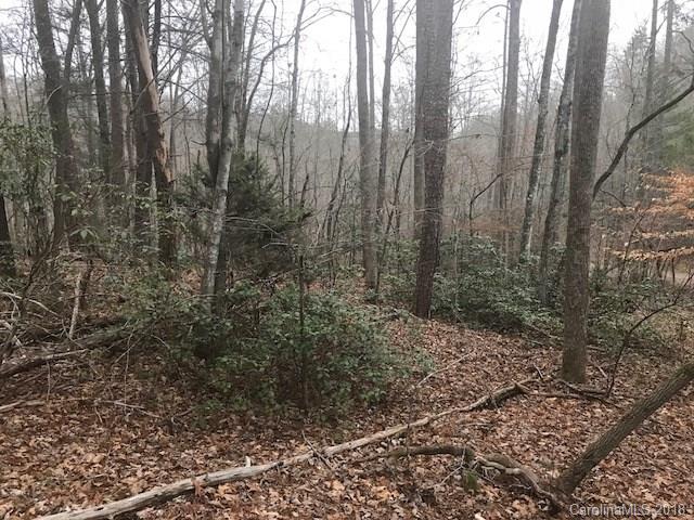 Property image 2 at 156 Swans Way, Lake Lure, NC 28746