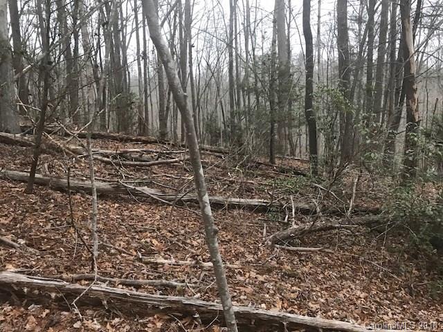 Property image 4 at 156 Swans Way, Lake Lure, NC 28746