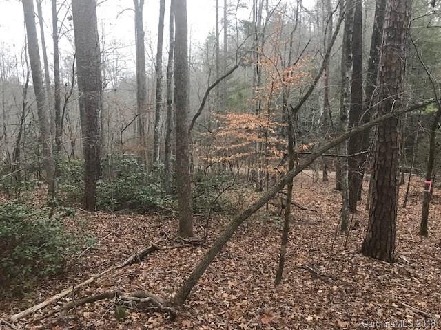 Property image 5 at 156 Swans Way, Lake Lure, NC 28746