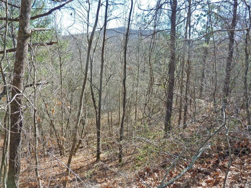 Property image 2 at 40 Shoal Creek Road, Balsam Grove, NC 28708