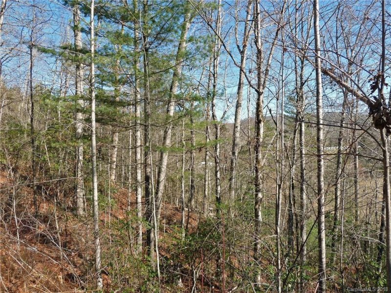 Property image 5 at 40 Shoal Creek Road, Balsam Grove, NC 28708