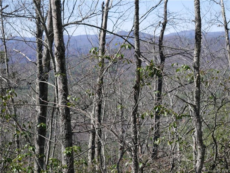 Property image 4 at Lot 44 Ruffed Grouse Road, Brevard, NC 28712