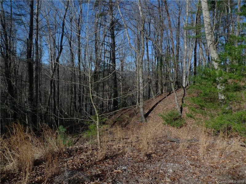 Property image 4 at 274 West Camp Drive, Marion, NC 28752