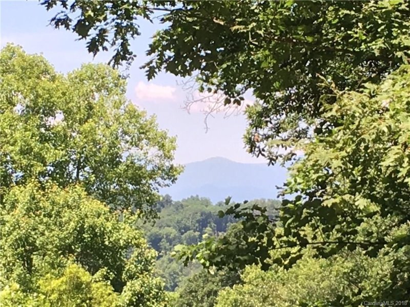 Property image 2 at 604 Hidden Springs Drive, Asheville, NC 28804