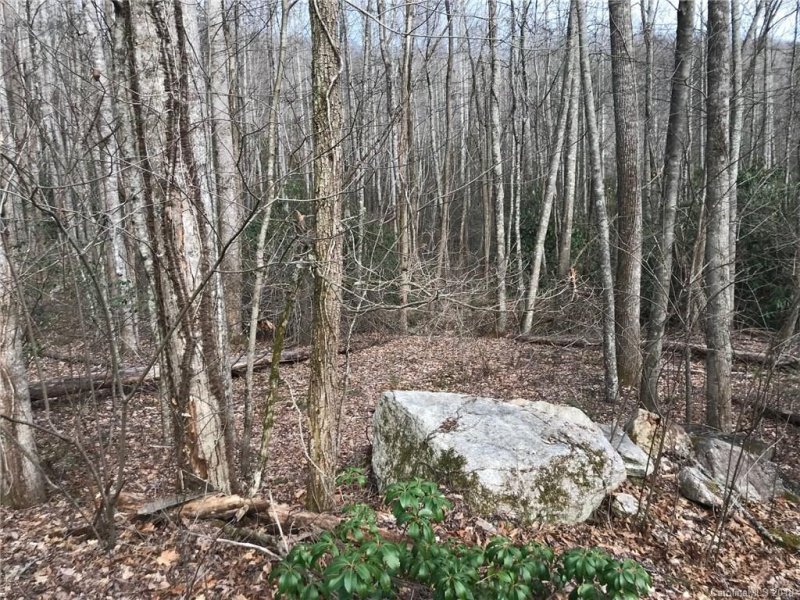 Property image 2 at 914 Wash Freeman Road, Hendersonville, NC 28792