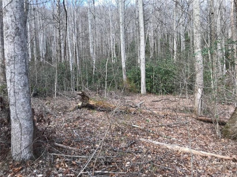 Property image 3 at 914 Wash Freeman Road, Hendersonville, NC 28792