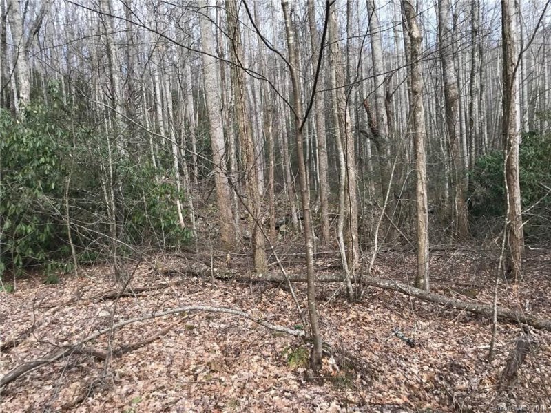 Property image 4 at 914 Wash Freeman Road, Hendersonville, NC 28792