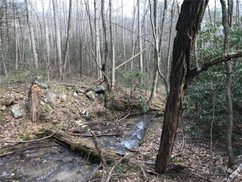 Property image 5 at 914 Wash Freeman Road, Hendersonville, NC 28792