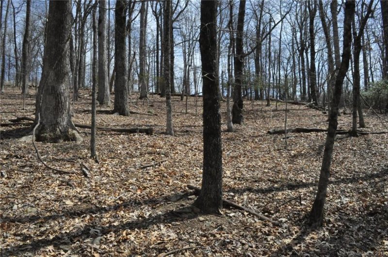 Property image 2 at 0 Skyuka Mountain Road, Columbus, NC 28722