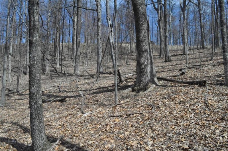 Property image 3 at 0 Skyuka Mountain Road, Columbus, NC 28722