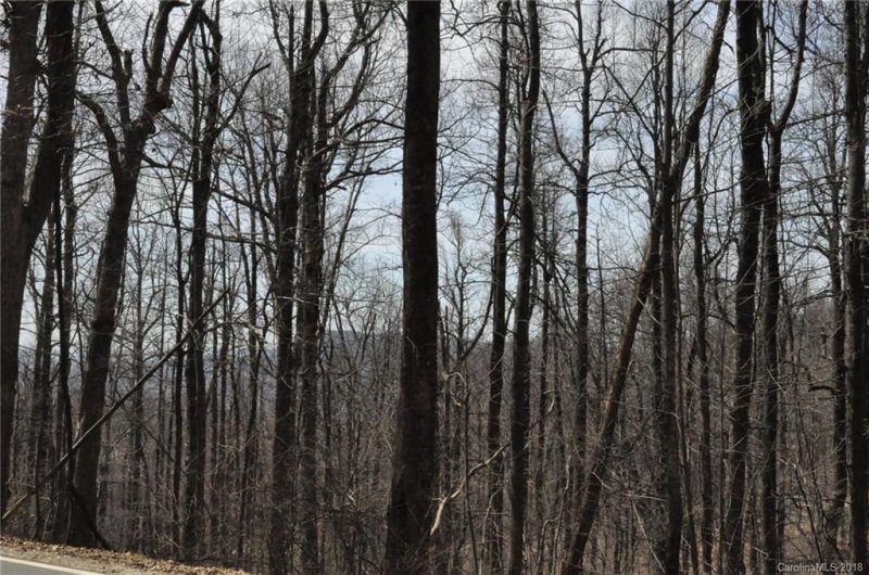 Property image 4 at 0 Skyuka Mountain Road, Columbus, NC 28722