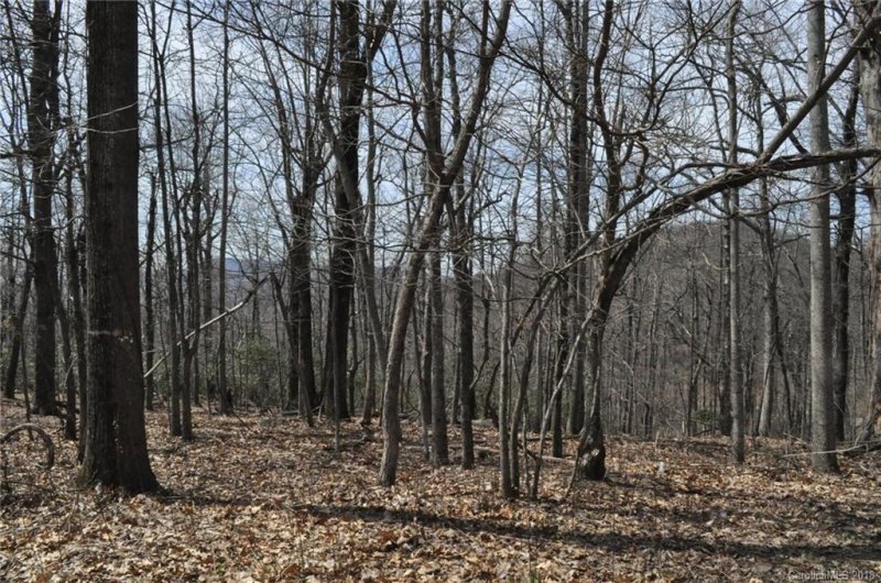 Property image 5 at 0 Skyuka Mountain Road, Columbus, NC 28722