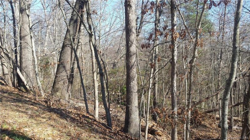 Property image 3 at 3 Heather Drive, Candler, NC 28715