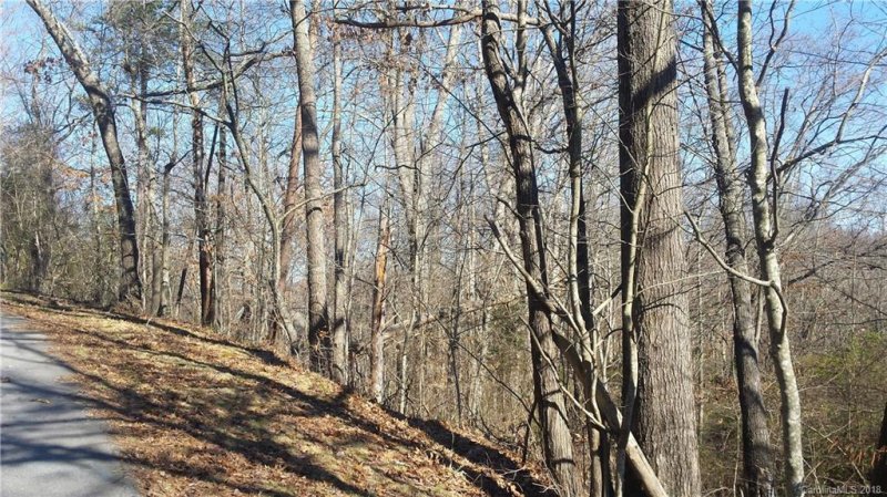 Property image 4 at 3 Heather Drive, Candler, NC 28715