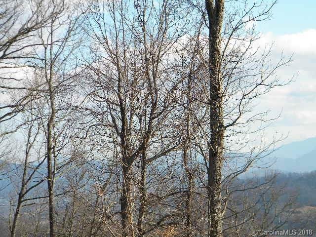Property image 4 at 126 Large Poplar Trail, Waynesville, NC 28785