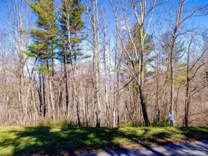Property image 2 at Lot 28 Katies Ridge Drive, Asheville, NC 28804