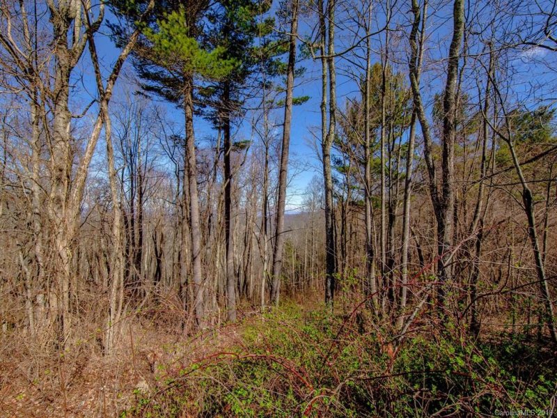 Property image 5 at Lot 28 Katies Ridge Drive, Asheville, NC 28804