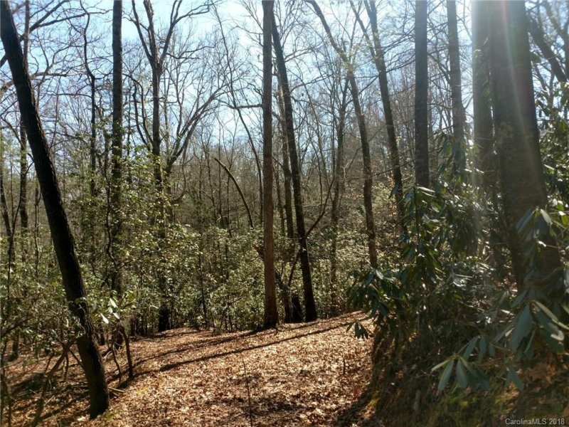 Property image 2 at Lot 1 Middlemount Road, Pisgah Forest, NC 28768