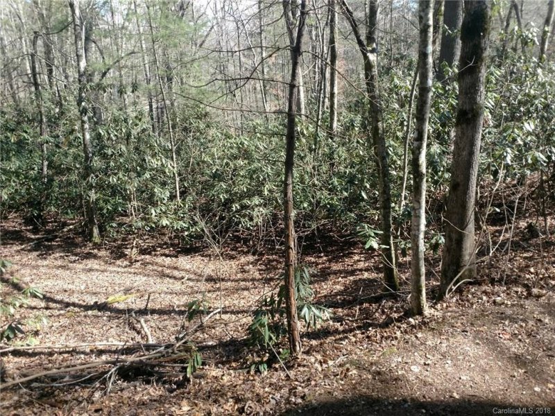 Property image 3 at Lot 1 Middlemount Road, Pisgah Forest, NC 28768