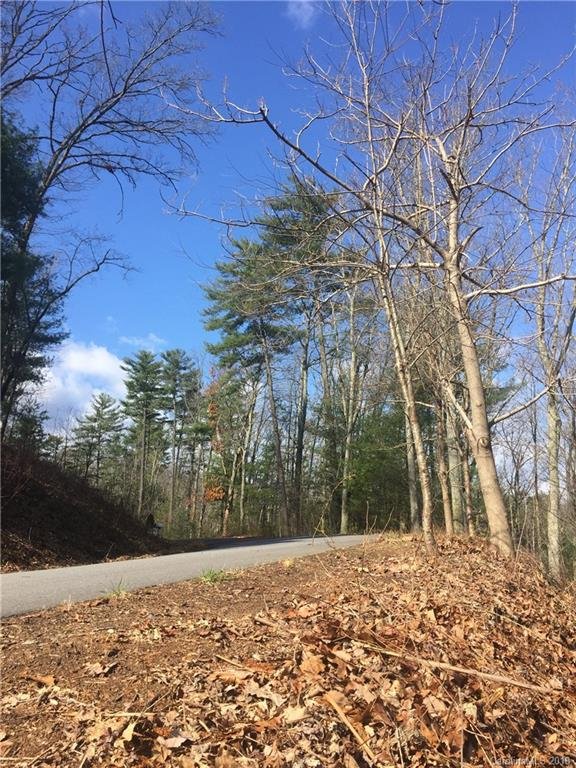 Property image 2 at 12 Forest Spring Drive, Asheville, NC 28804