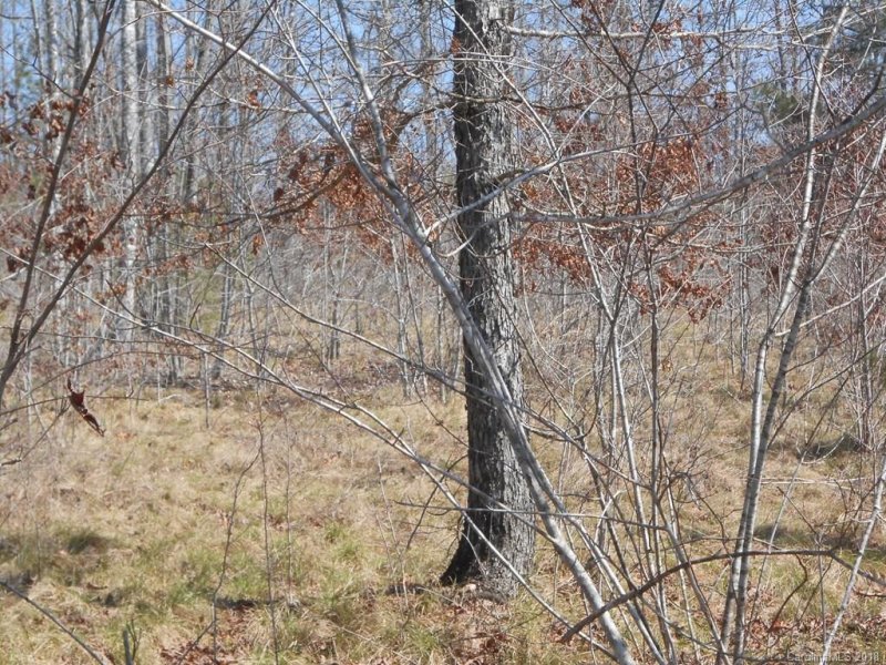 Property image 5 at 00 Blackberry Creek, Nebo, NC 28761