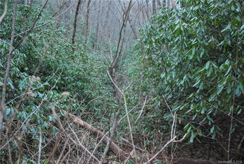 Property image 4 at Lot 25 Bear Rock Loop Road, Hendersonville, NC 28739