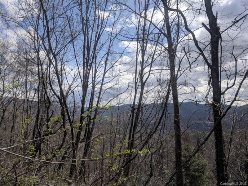 Property image 3 at 319 Pinnacle Drive, Black Mountain, NC 28711