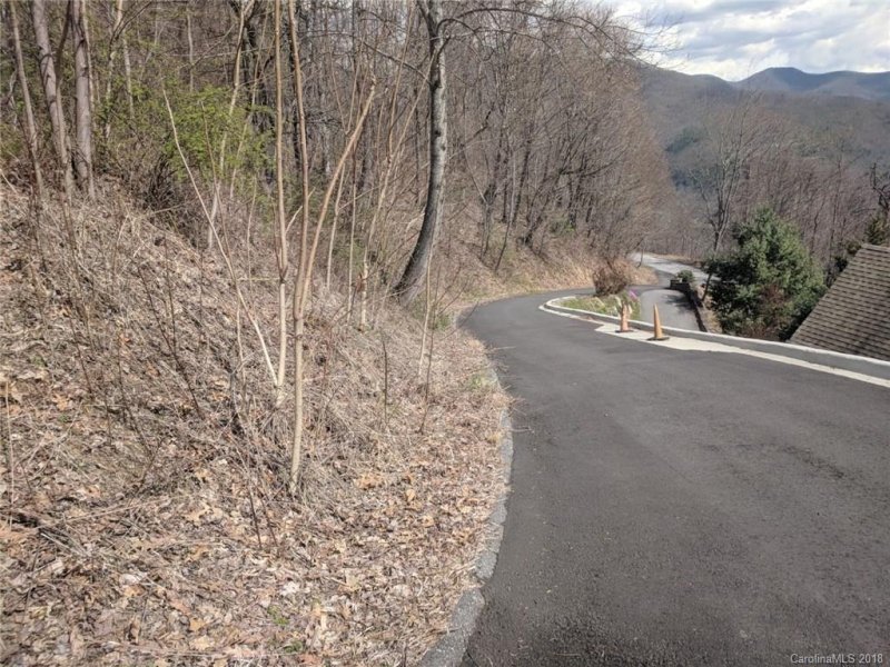 Property image 4 at 319 Pinnacle Drive, Black Mountain, NC 28711