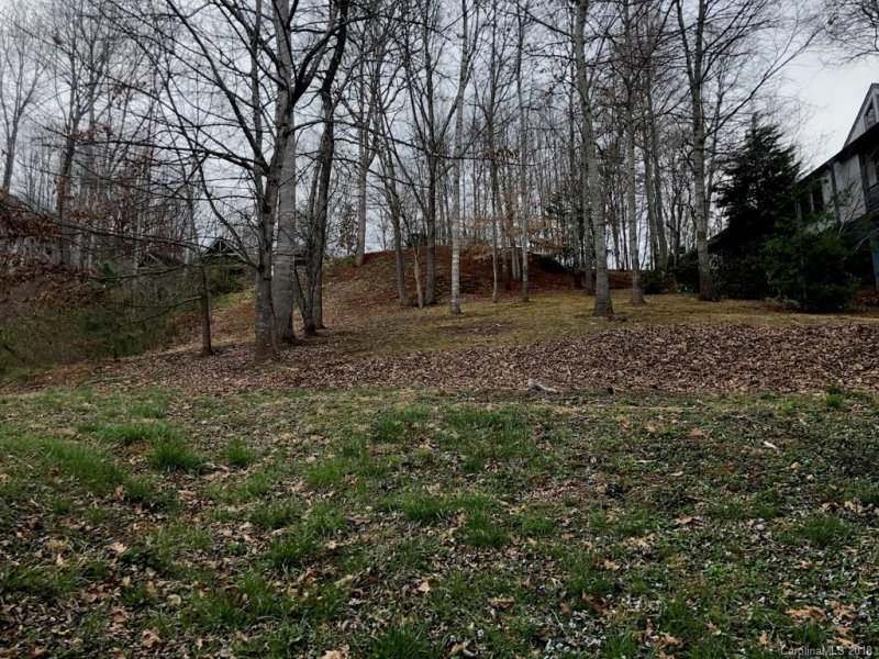 Property image 3 at Lot 5 Ruffed Grouse Lane, Waynesville, NC 28786