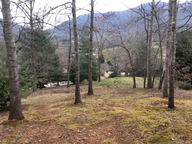 Property image 5 at Lot 5 Ruffed Grouse Lane, Waynesville, NC 28786