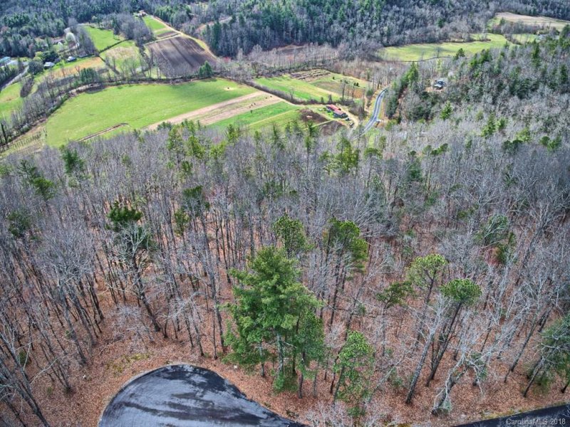 Property image 2 at 130 Brown Bear Ridge Trail, Zirconia, NC 28790