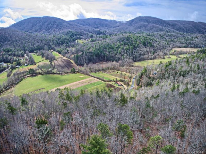 Property image 3 at 130 Brown Bear Ridge Trail, Zirconia, NC 28790