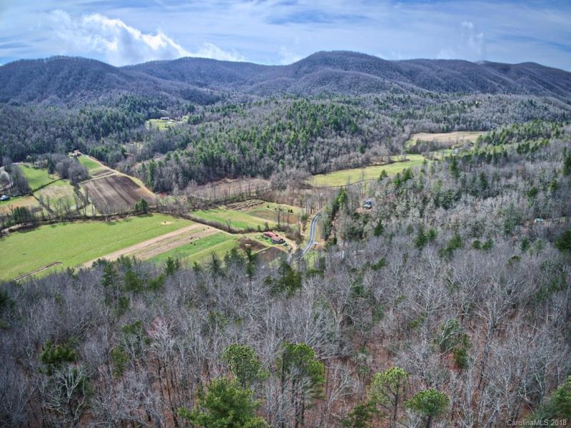 Property image 5 at 130 Brown Bear Ridge Trail, Zirconia, NC 28790