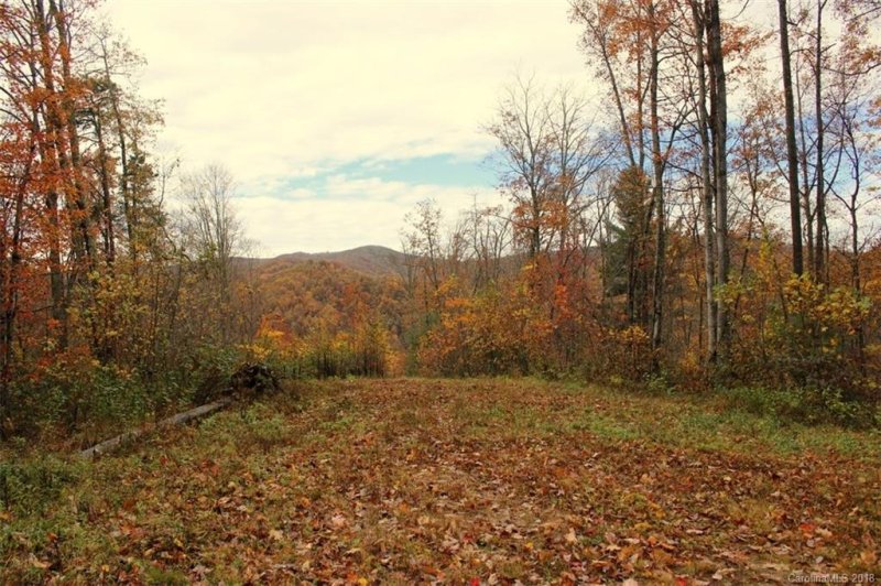 Tbd Meadow Fork School Road