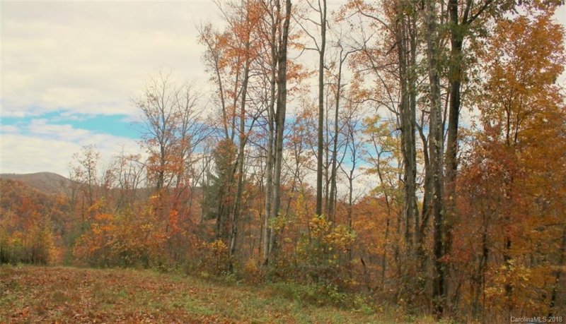 Property image 2 at Tbd Meadow Fork School Road, Hot Springs, NC 28743