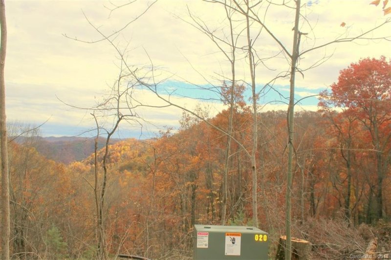 Property image 3 at Tbd Meadow Fork School Road, Hot Springs, NC 28743