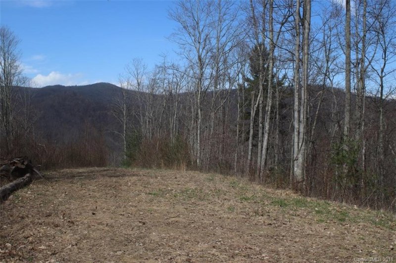 Property image 4 at Tbd Meadow Fork School Road, Hot Springs, NC 28743