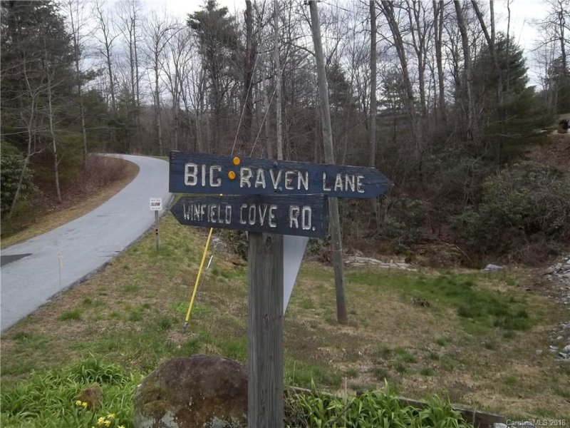 Property image 5 at 00 Big Raven Lane, Saluda, NC 28773