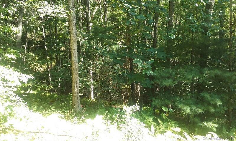 Property image 4 at Tbd Kyle Lane, Waynesville, NC 28785