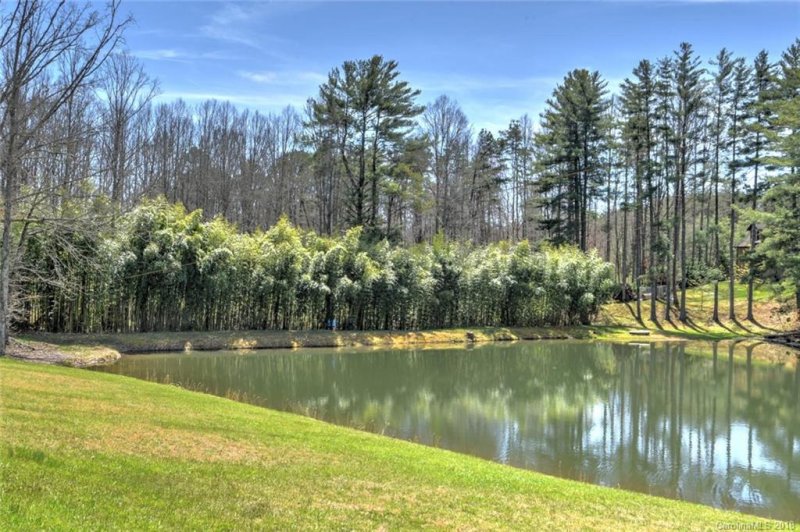 Property image 3 at 63 Bradshaw Lane, Candler, NC 28715