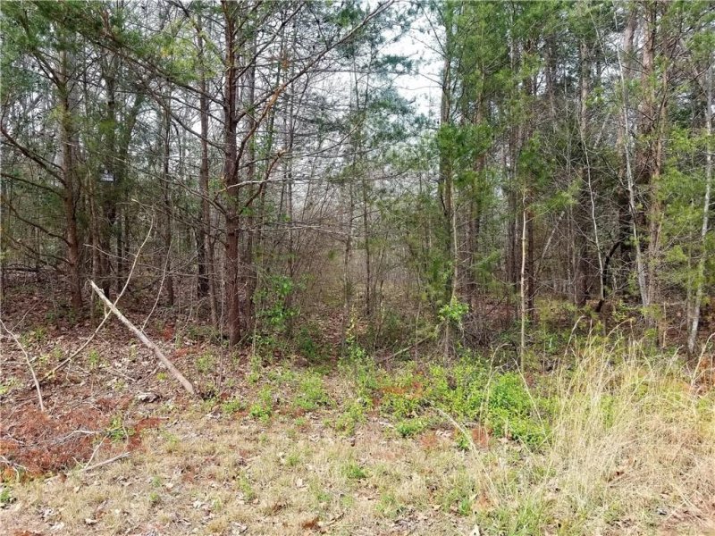 Property image 3 at 159 Valley Springs Drive, Olin, NC 28660