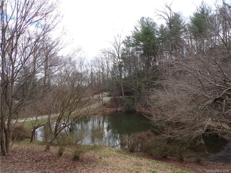 Property image 3 at 884 Toxaway Drive, Hendersonville, NC 28791