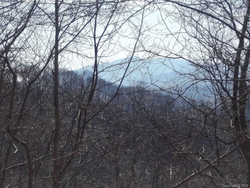 Property image 3 at 45 Crystal Lane, Clyde, NC 28721