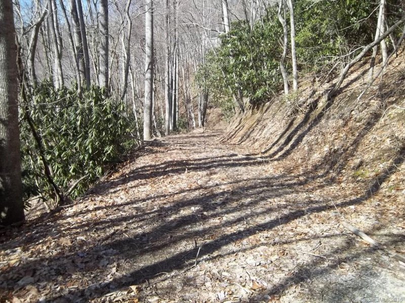 Property image 4 at 45 Crystal Lane, Clyde, NC 28721