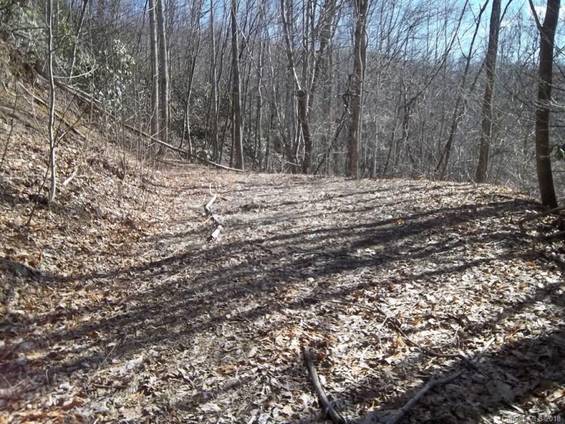 Property image 5 at 45 Crystal Lane, Clyde, NC 28721