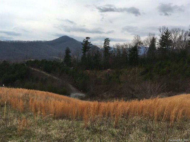 Property image 4 at 515 Sky Ridge Drive, Leicester, NC 28748