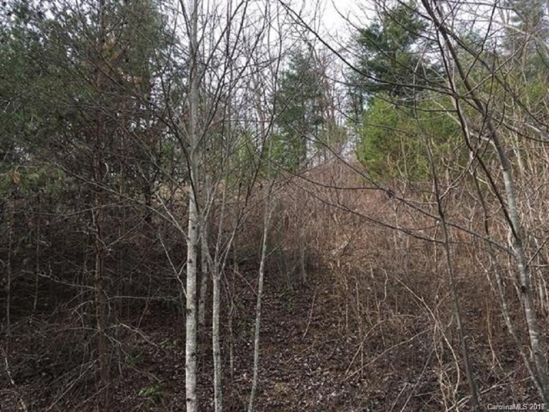 Property image 5 at 515 Sky Ridge Drive, Leicester, NC 28748