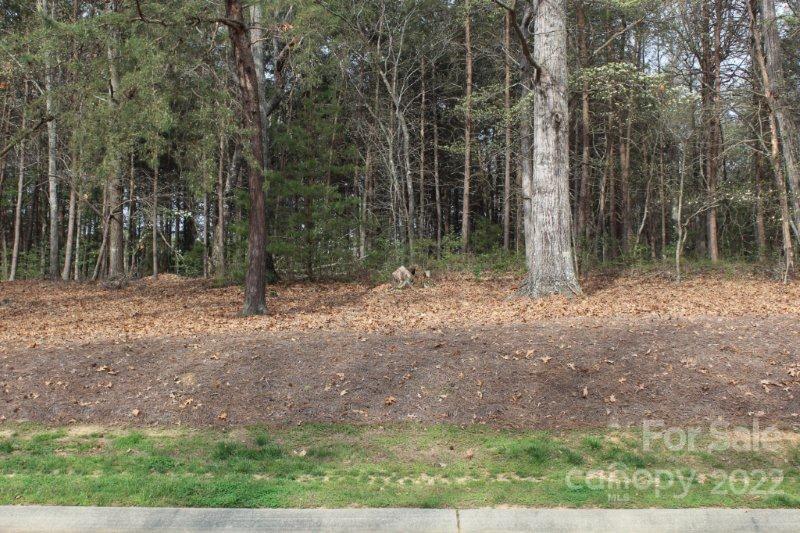 218 Porters Glen Lane